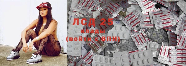 индика Алексеевка