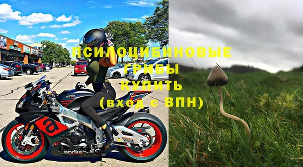 индика Алексеевка