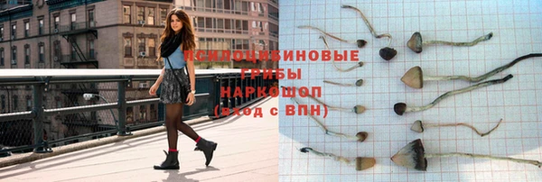 индика Алексеевка