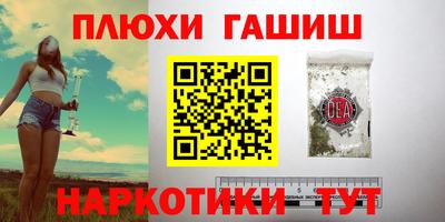 шишки Лесосибирск