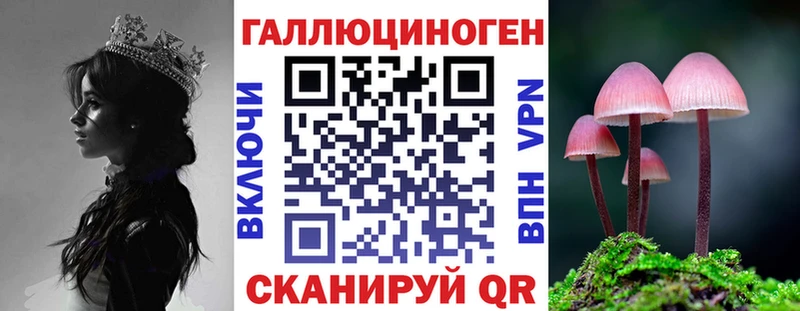 Галлюциногенные грибы MAGIC MUSHROOMS что такое Курчалой