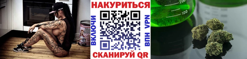 магазин продажи наркотиков  Курчалой  Бошки Шишки Ganja 